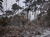 keersop20231204