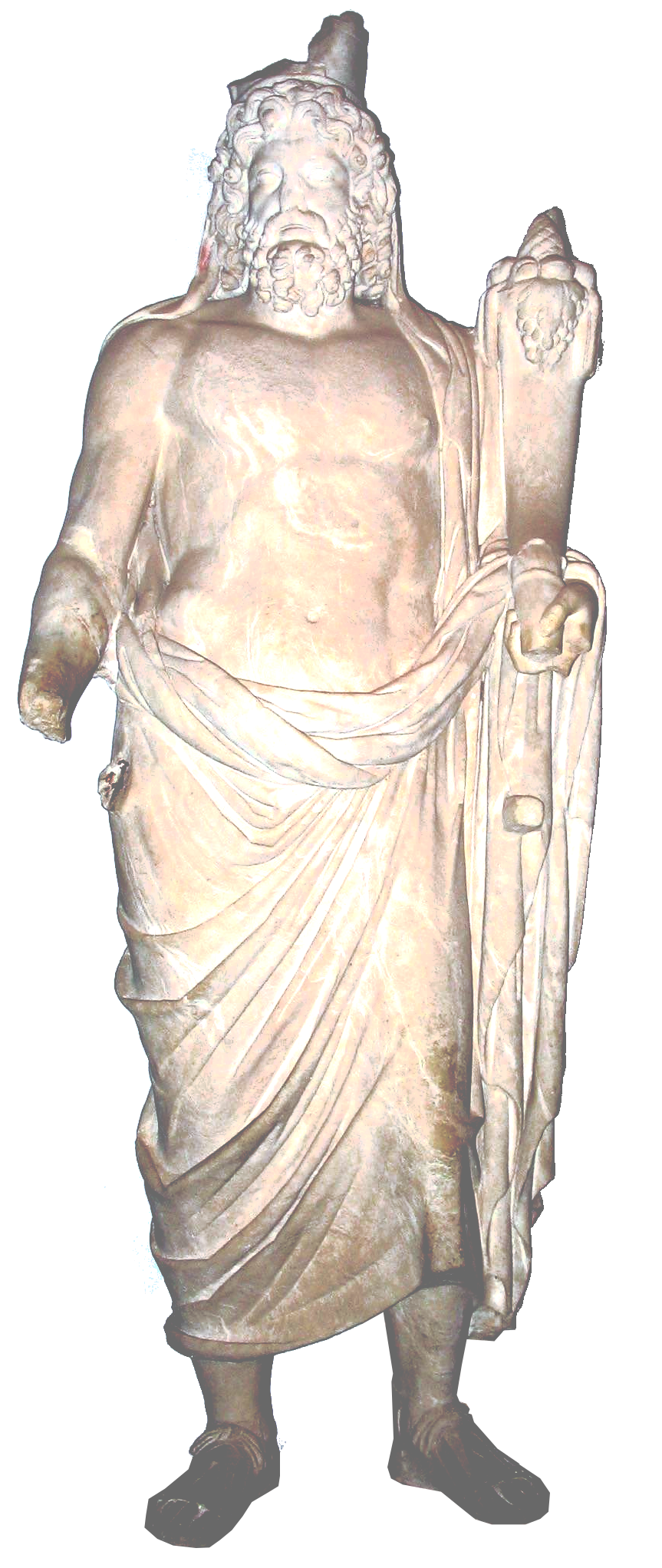 sigillaria