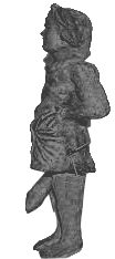 sigillaria
