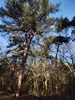 keersopIMG_20231217