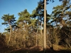 keersopIMG_20231217