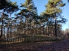 keersopIMG_20231217
