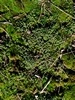keersopIMG_20231217