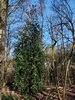 keersopIMG_20231217