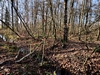 keersopIMG_20231217
