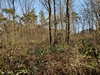 kersop20240103