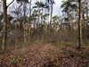 kersop20240103