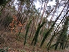 kersop20240103