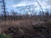 kersop20240103