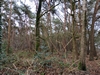 keersop20240106