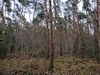 keersop20240107