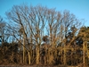 keersop20240110