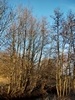 keersop20240111