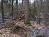 keersop20240112