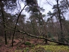 keersop20240113