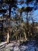 keersop20240118