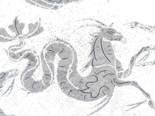 capriconrus