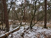 keersopIMG_20240121
