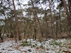 keersopIMG_20240121