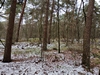 keersopIMG_20240121