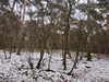 keersopIMG_20240121