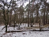 keersopIMG_20240121