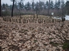keersopIMG_20240121