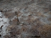 keersopIMG_20240121