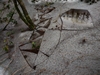 keersopIMG_20240121