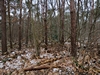 keersopIMG_20240121