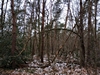 keersopIMG_20240121