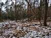 keersopIMG_20240121