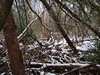 keersopIMG_20240121