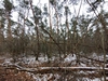keersopIMG_20240121