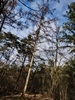 keersop20240122