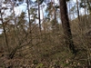 keersop20240122