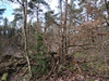 keersop20240122