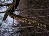 keersop20240123