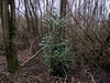 keersop20240123