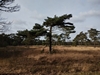 keersop20240124