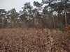 keersop20240125