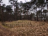 keersop20240125