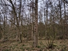 keersop20240125