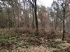 keersop20240125