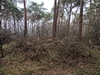 keersop20240125