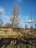keersop20240126