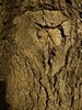keersop20240127