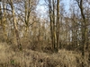 keersop20240129