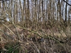 keersop20240129