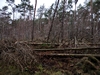 keersop20240131